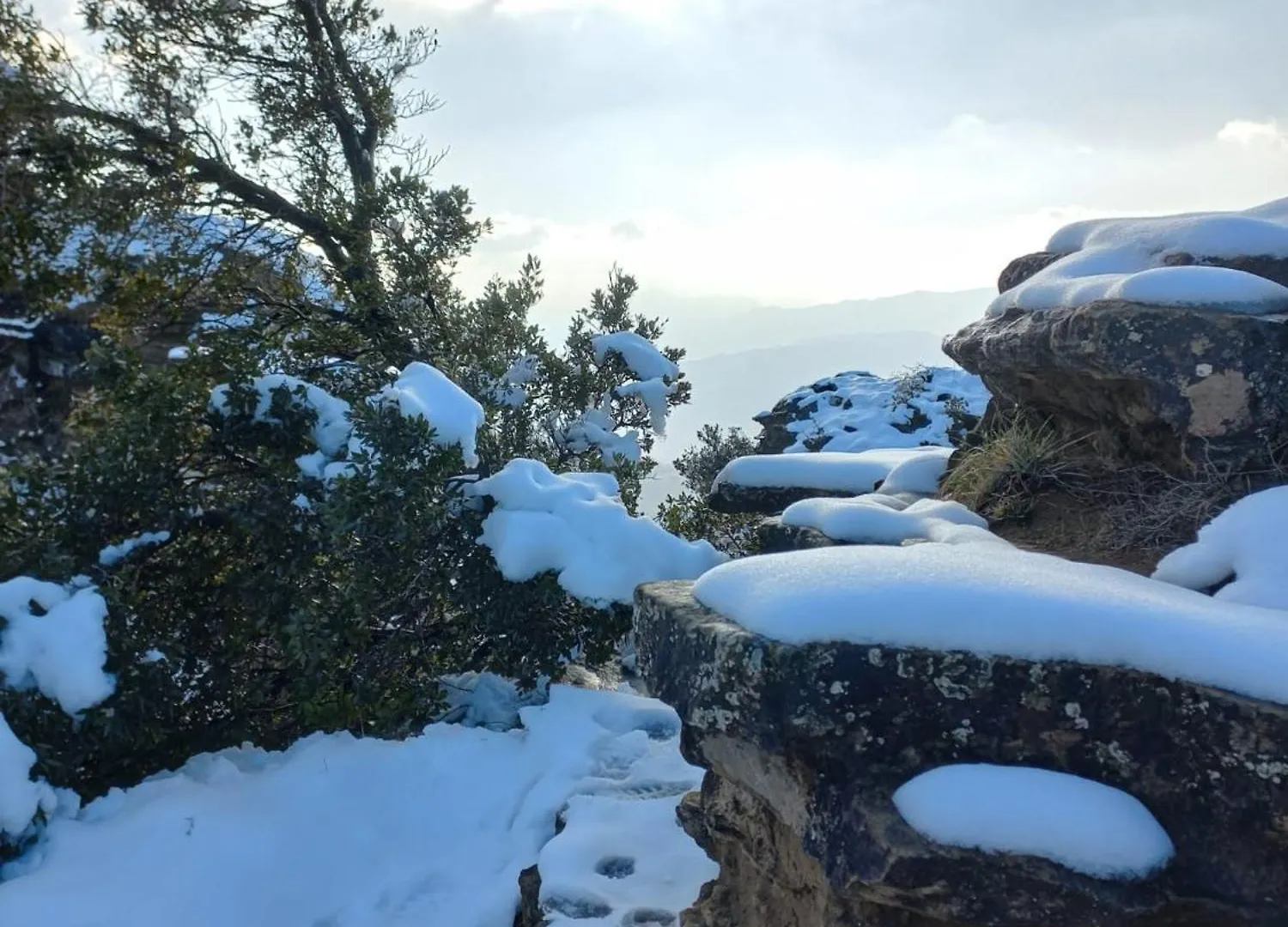 B&B Poggio Di Vento Sulla Via Degli Dei 몬주노